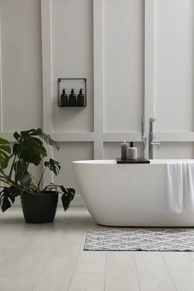 室内白墙附近的现代陶瓷浴缸和绿色植物 — 图库照片