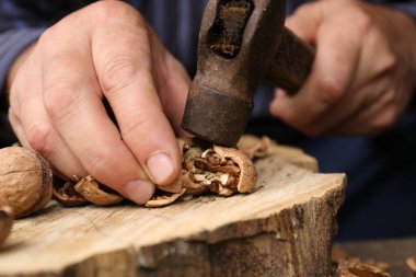 Man cracking walnuts with hammer at table, closeup
