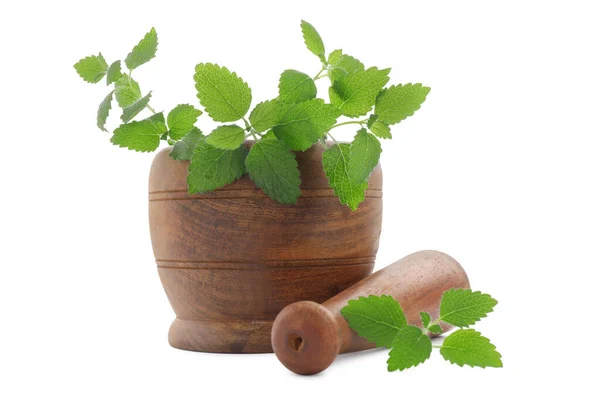 Trämurbruk Med Mortelstöt Och Färska Gröna Citronmeliss Blad Isolerade Vit — Stockfoto