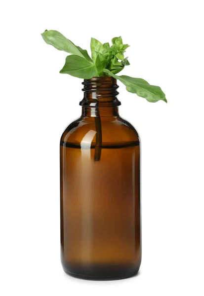 Bottle Essential Oil Basil Isolated White — Photo