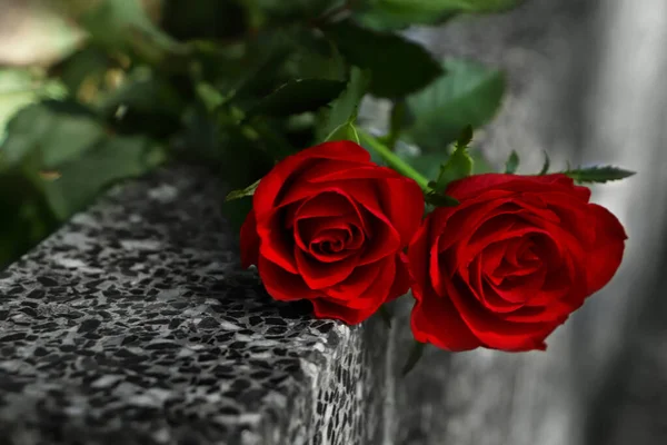 Czerwone Róże Szarym Granitowym Nagrobku Zewnątrz Zbliżenie — Zdjęcie stockowe