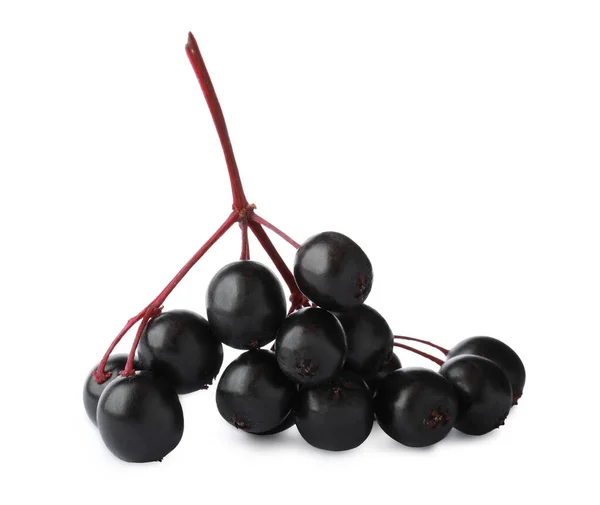 Bunch Black Elderberries Sambucus White Background — Stok Foto