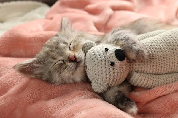 Roztomilé Kotě Spí Hračkou Měkké Růžové Přikrývce — Stock fotografie