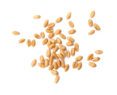 Pile of wheat grains on white background, top view