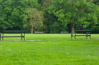 Parkta yeşil çimlerin ve bankın güzel manzarası