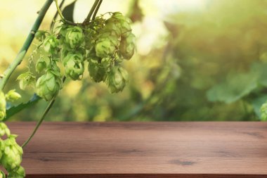 Boş ahşap yüzey ve açık havada yetişen taze yeşil zıplamalar.