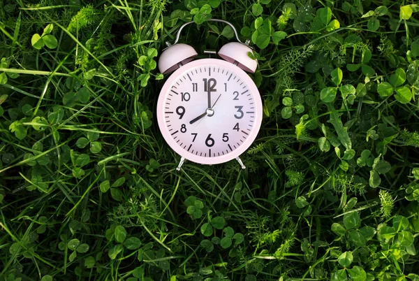 Relógio Alarme Pequeno Rosa Grama Verde Livre Vista Superior Espaço — Fotografia de Stock