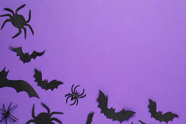 Composition Plat Avec Chauves Souris Papier Araignées Sur Fond Violet — Photo