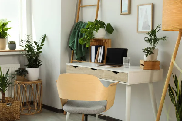 Home Office Interior Different Beautiful Houseplants — Photo