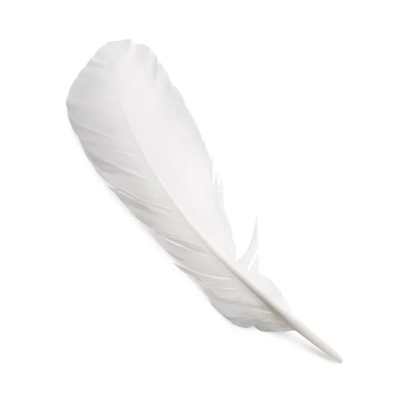 One Fluffy Beautiful Feather Isolated White Top View — Stock Photo, Image