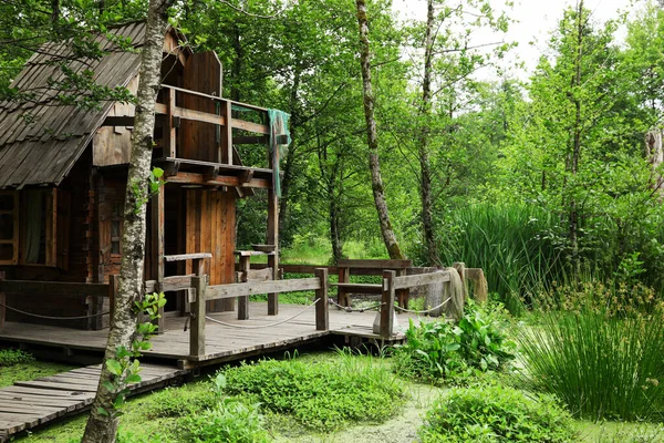 Old Wooden Hut Beautiful Tranquil Forest — Fotografia de Stock