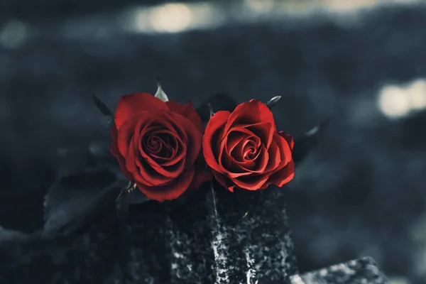 Красные Розы Мраморном Гранитном Надгробии Открытом Воздухе Крупный План — стоковое фото