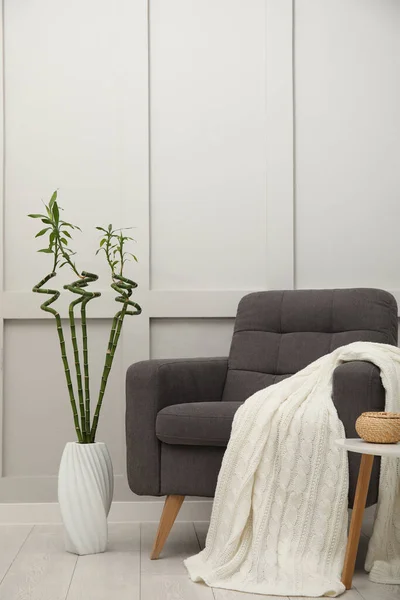 Vase Green Bamboo Stems Floor Armchair Room Interior Design — Photo