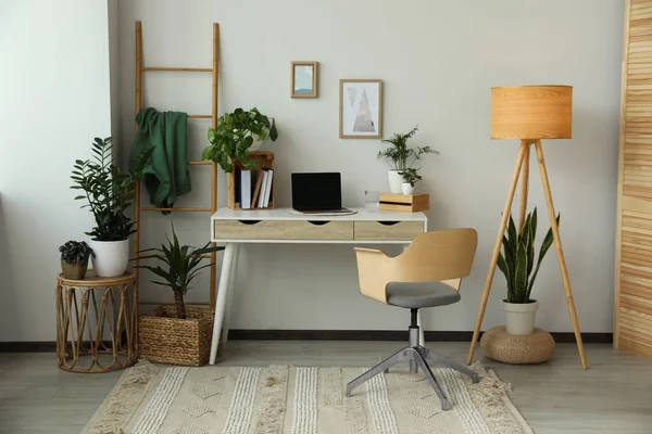 Home Office Interior Different Beautiful Houseplants — Fotografia de Stock