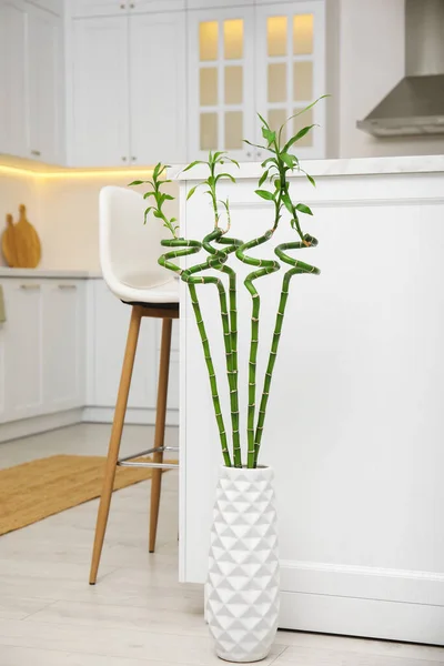 Vase Avec Tiges Bambou Vert Sur Sol Dans Cuisine Design — Photo