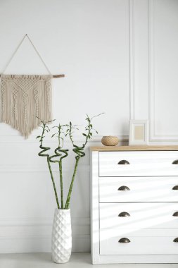 Odadaki çekmece çekmecesinin yanında yeşil bambu saplı vazo. İç tasarım