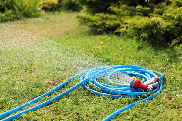 Water Spraying Hose Green Grass Outdoors — Stok fotoğraf
