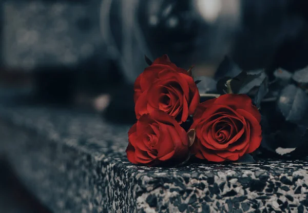 Красные Розы Мраморном Гранитном Надгробии Снаружи Крупным Планом Пространство Текста — стоковое фото