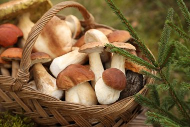 Dışarıdaki ahşap masada taze mantarlı hasır sepet, yakın plan.