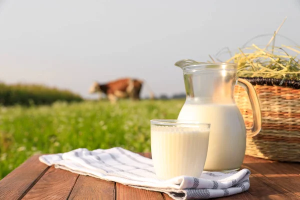 Milk with hay on wooden table and cow grazing in meadow