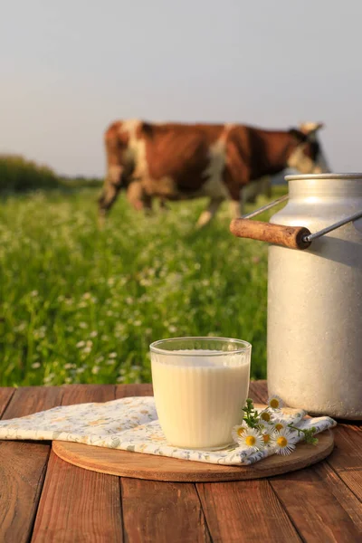 Mjölk Med Kamomill Träbord Och Kobete Äng — Stockfoto