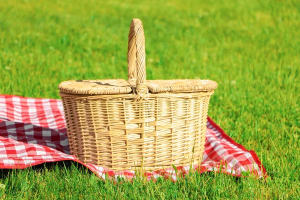 Picnic Basket Checkered Tablecloth Green Grass Outdoors — 스톡 사진