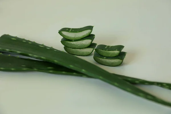 Zelené Aloe Vera Listy Řezy Světlém Pozadí Detailní Záběr — Stock fotografie