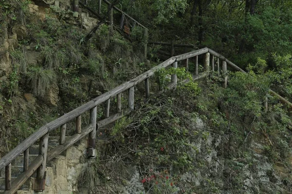 Pasamanos Madera Cerca Escaleras Piedra Plantas Aire Libre — Foto de Stock