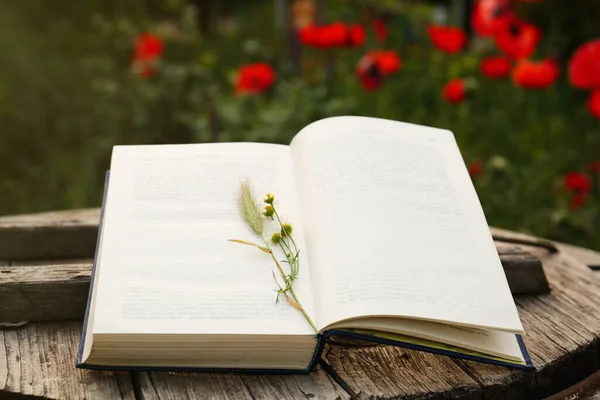 Open Book Spike Chamomile Flowers Wooden Table Outdoors — Stock Fotó