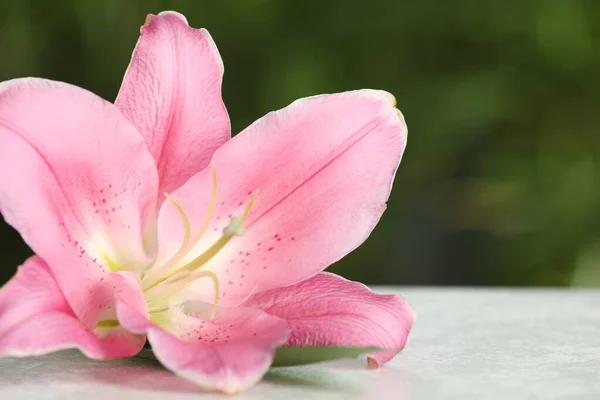 Gyönyörű Rózsaszín Liliom Virág Fehér Asztalon Ellen Elmosódott Zöld Háttér — Stock Fotó