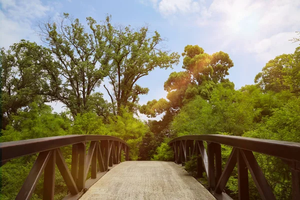 Picturesque View Bridge Beautiful Green Park — Foto de Stock