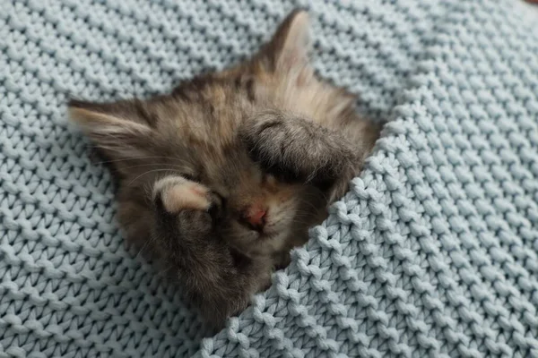 Cute Kitten Sleeping Light Blue Knitted Blanket Top View — Stock Photo, Image