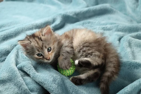 Schattig Kitten Spelen Met Bal Licht Blauwe Deken — Stockfoto