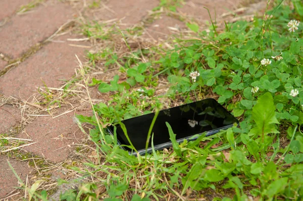 Smartphone Lying Grass Pavement Outdoors Lost Found — Stock Photo, Image