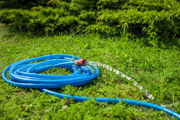 Vatten Som Rinner Från Slangen Grönt Gräs Utomhus — Stockfoto
