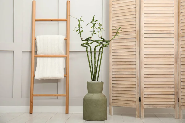 Vaas Met Groene Bamboe Stengels Vouwscherm Ladder Vloer Kamer Interieur — Stockfoto