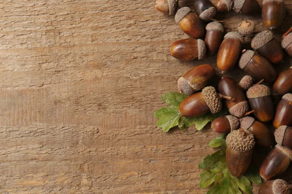 Acorns Oak Leaves Wooden Table Top View Space Text — Stock Photo, Image