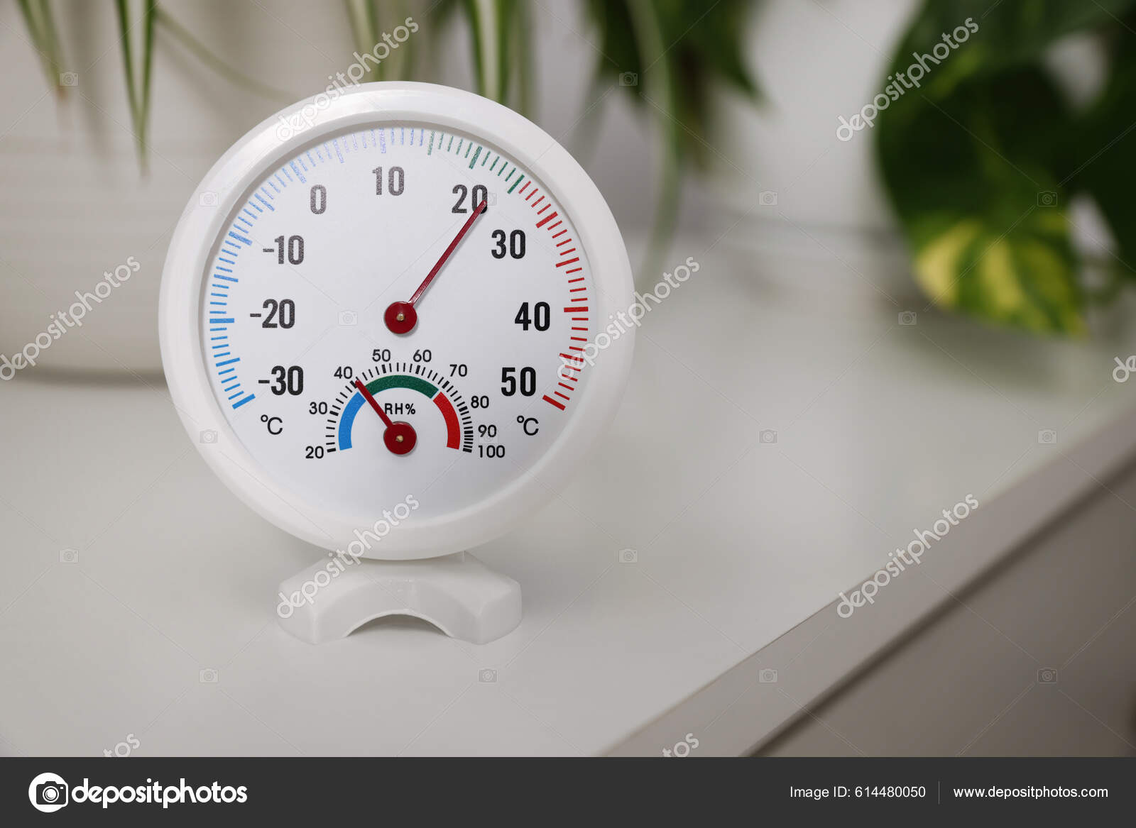 Hygrometer Thermometer Plants White Table Space Text Stock Photo