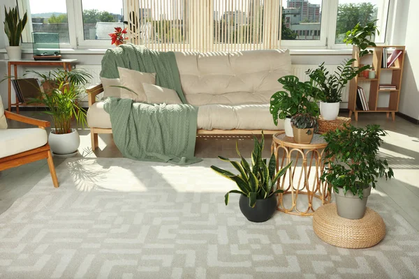 モダンな家具と美しい観葉植物とスタイリッシュな部屋のインテリア — ストック写真