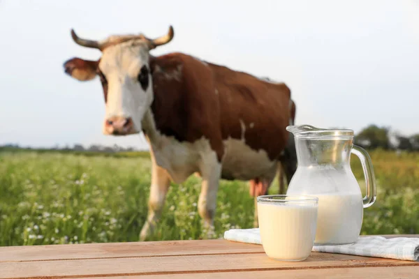 Glass with jug of milk on wooden table and cow grazing in meadow