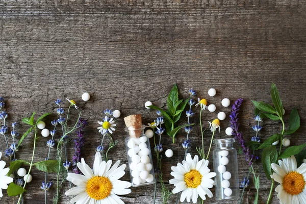 Bottles of homeopathic remedy and different plants on wooden background, flat lay. Space for text