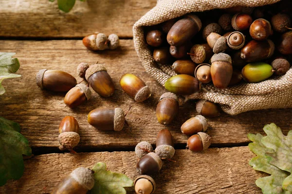 Zak Met Eikels Eikenbladeren Houten Tafel — Stockfoto