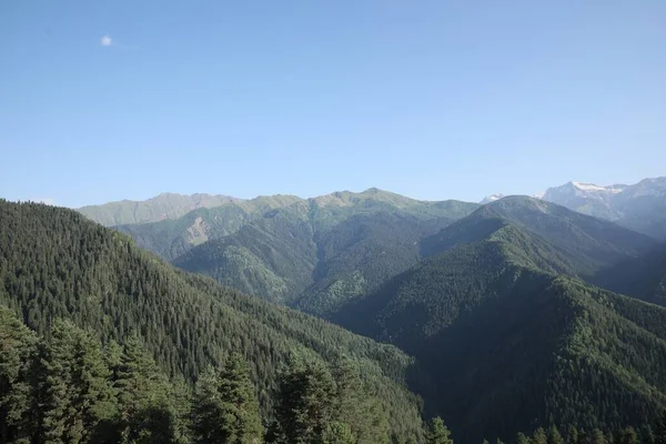 Güneşli Bir Günde Dağ Ormanlarıyla Güzel Manzaranın Havadan Görüntüsü — Stok fotoğraf