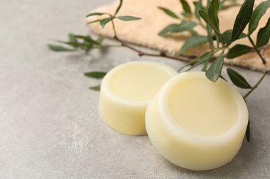 Saf şampuan çubukları ve gri masada yeşil dallar.