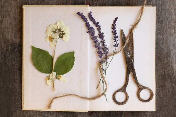 Libro Abierto Con Hermosas Flores Secas Tijeras Viejas Cordel Mesa —  Fotos de Stock