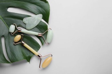 Gua sha taşı, farklı yüz silindirleri ve arka planda canavar yaprağı, düz yatış. Metin için boşluk