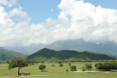 Hayvanların ve dağların olduğu safari parkının resimli görüntüsü.