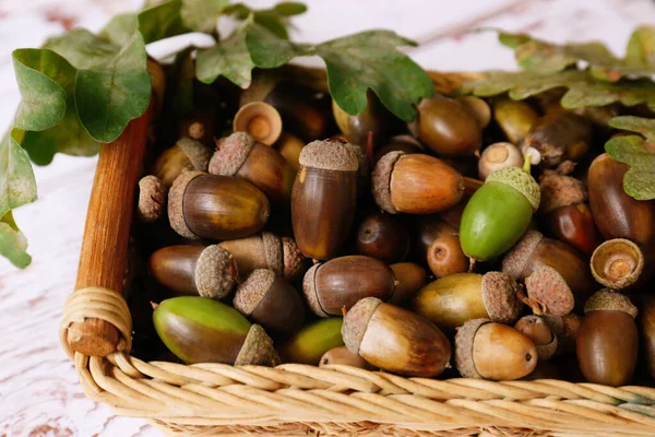 Rieten Mand Met Eikels Groene Eiken Bladeren Witte Houten Tafel — Stockfoto