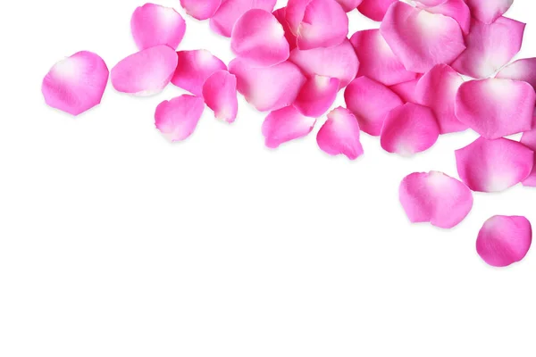 Many Pink Rose Petals White Background Top View — Stockfoto