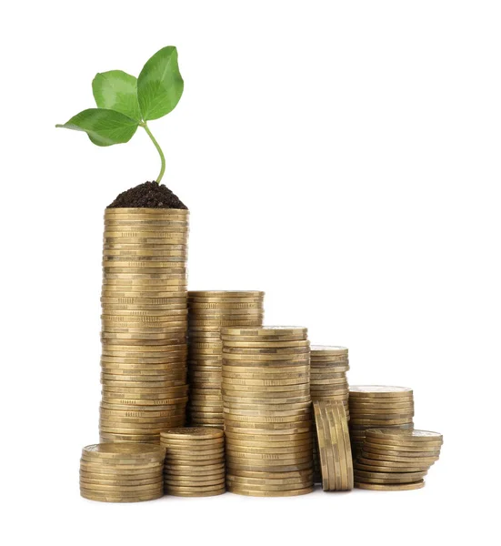 Стеки Монет Зелена Рослина Білому Тлі Інвестиційна Концепція — стокове фото